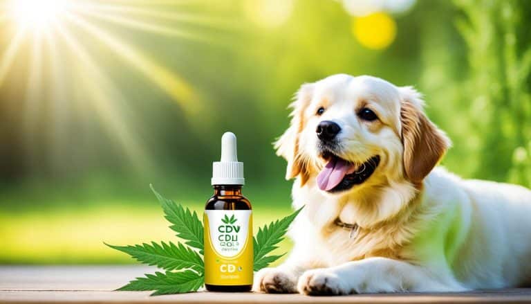 cbd öl cdvet