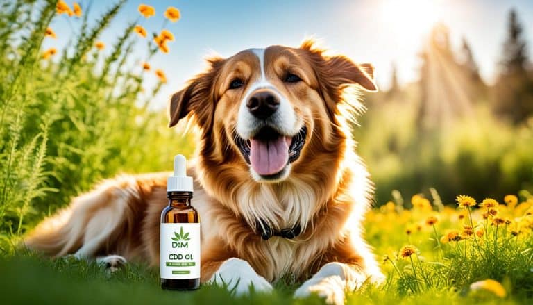 cbd öl dm hund