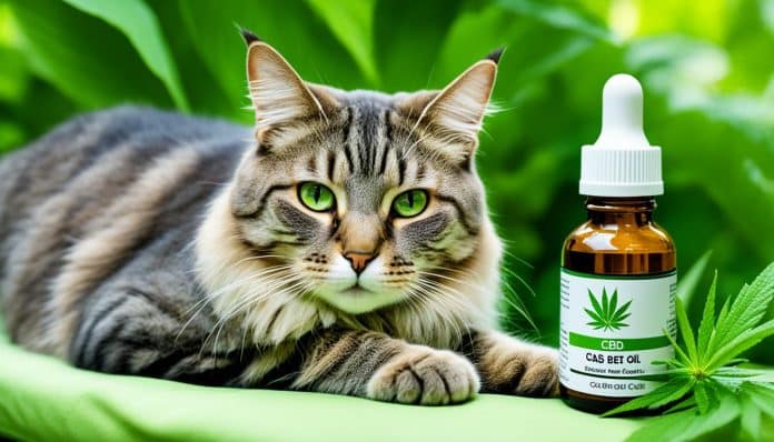 das beste cbd öl für katzen