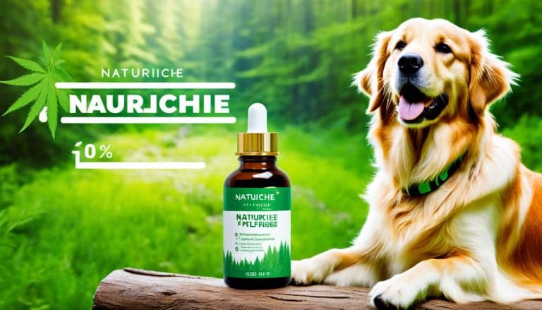 cbd öl für hunde 10 prozent