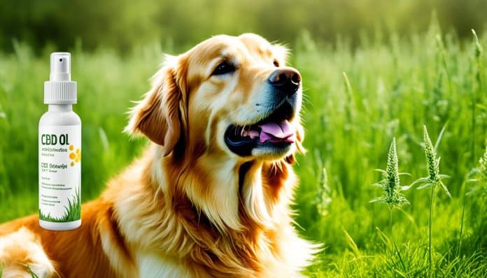 cbd öl hund 15