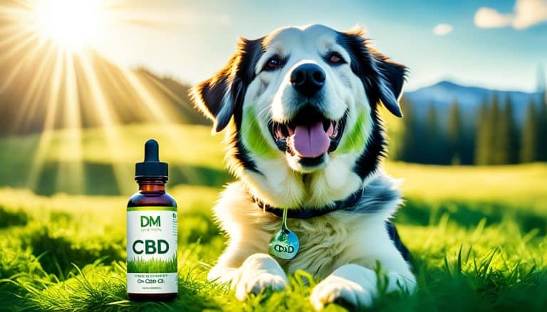 cbd öl hund dm