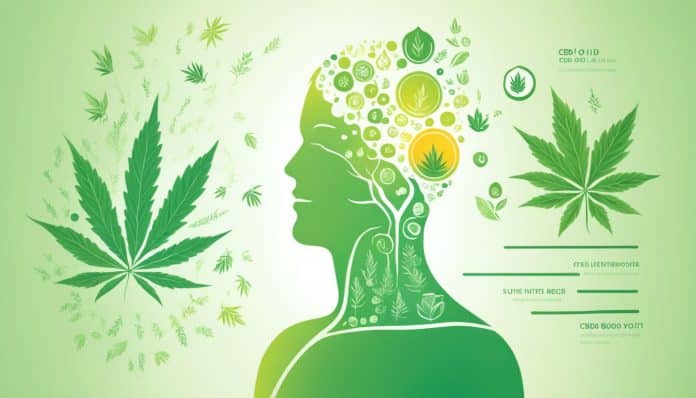 cbd öl lernen