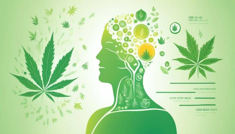 cbd öl lernen