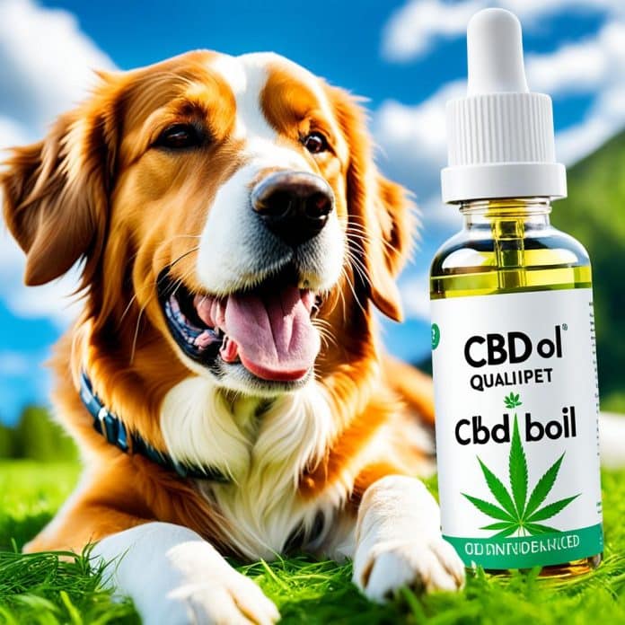 cbd öl qualipet